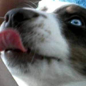 Meet your Posher, Sebron